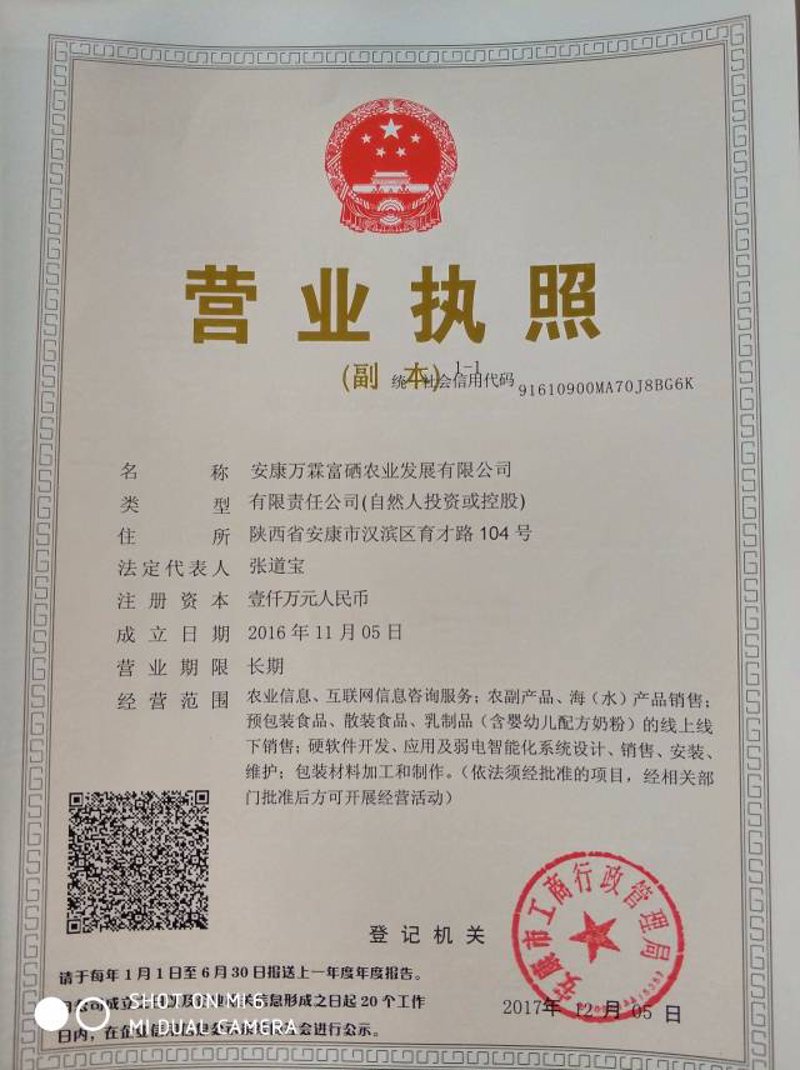财务工作中的新风向——安康财务管理平台
